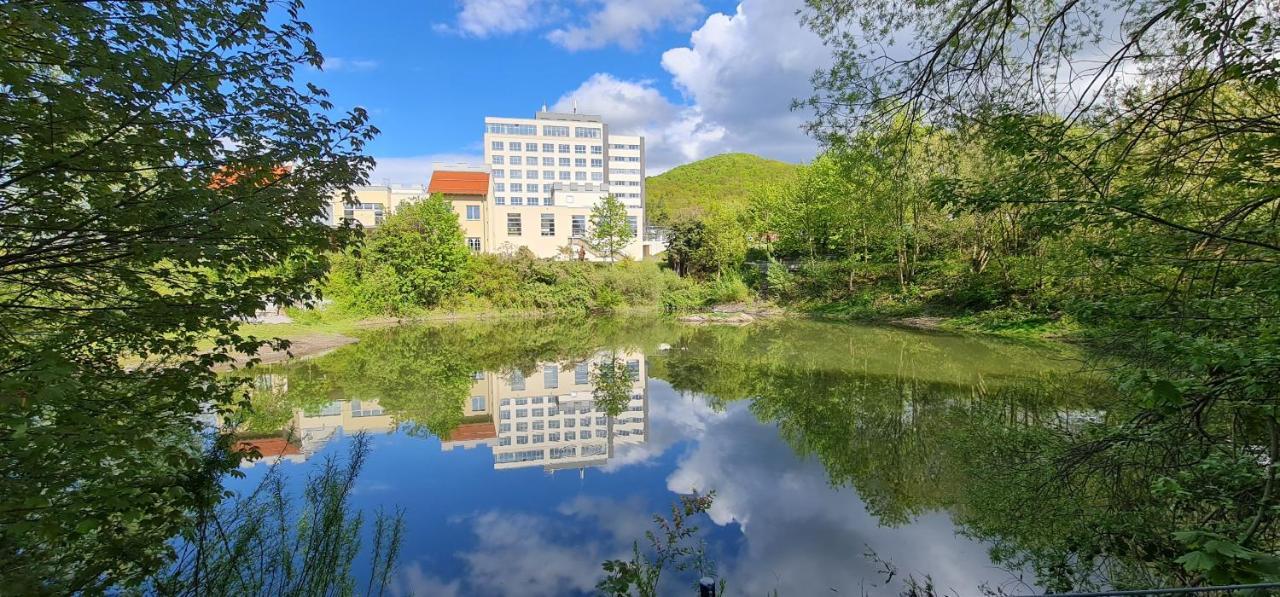 Hasseroeder Burghotel ヴェルニゲローデ エクステリア 写真